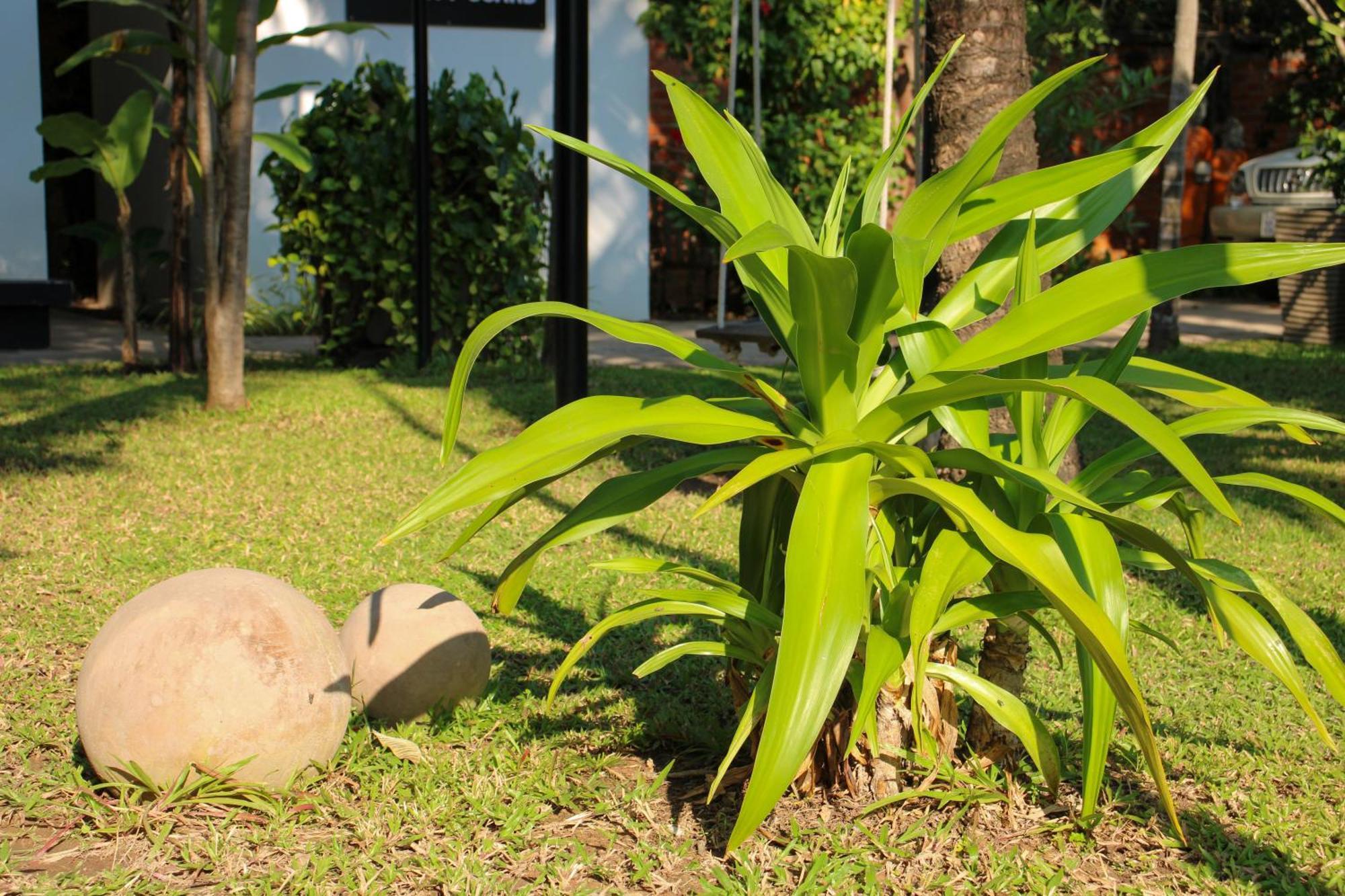 Le Petit Nid Banana Resort Ciudad de Siem Riep Exterior foto